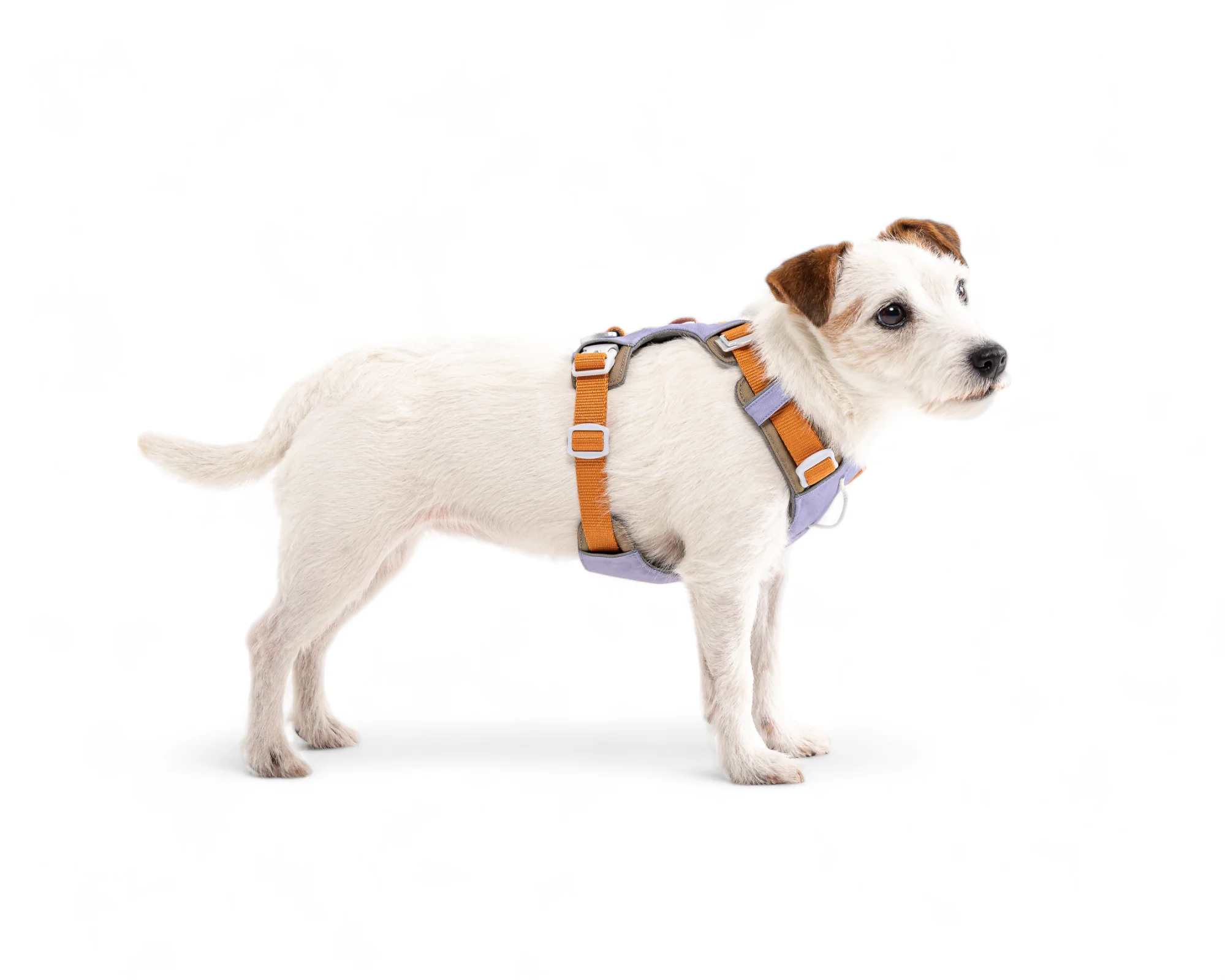 Alpha 360 Dog Harness Lavender - Image 4