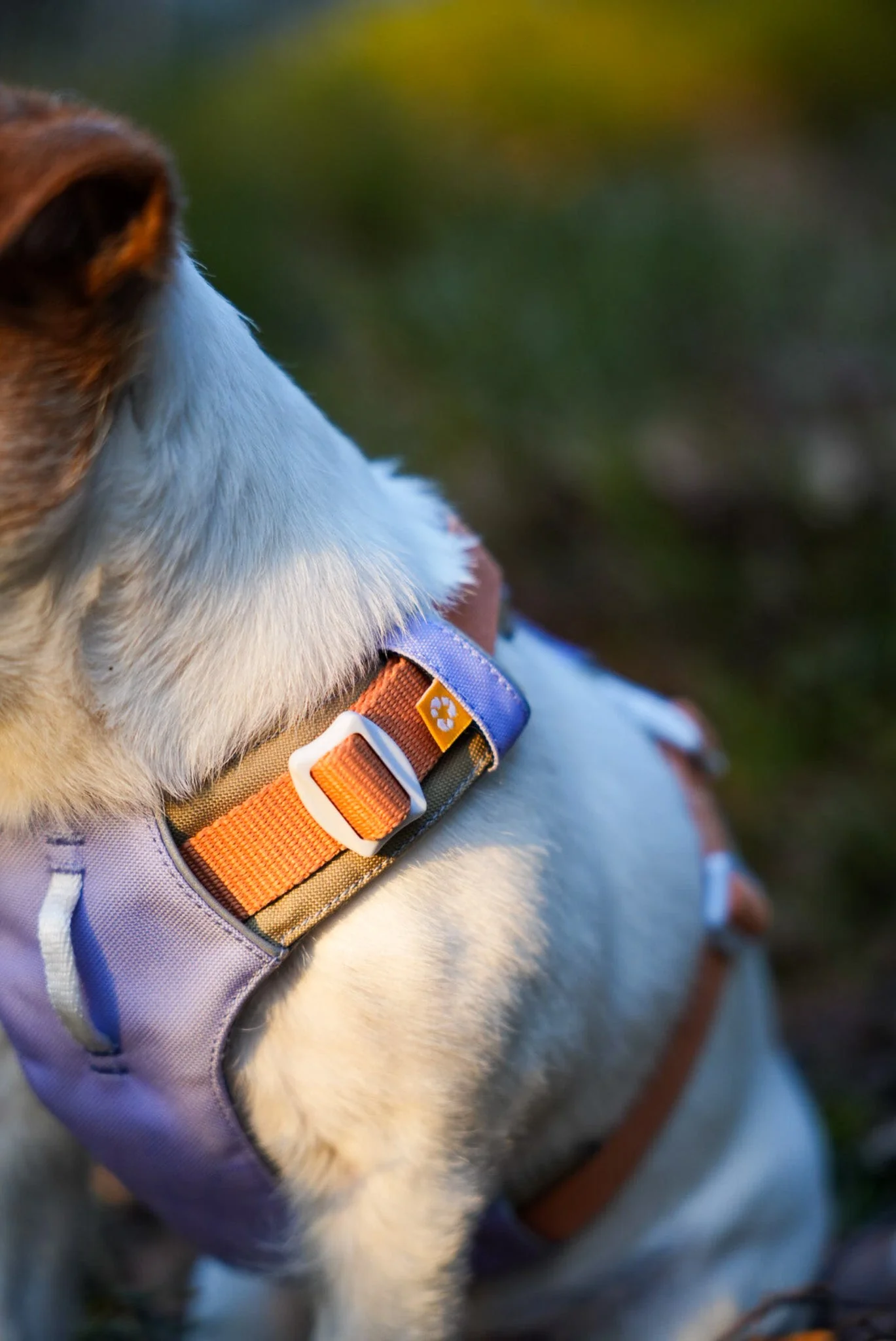 Alpha 360 Dog Harness Lavender - Image 8