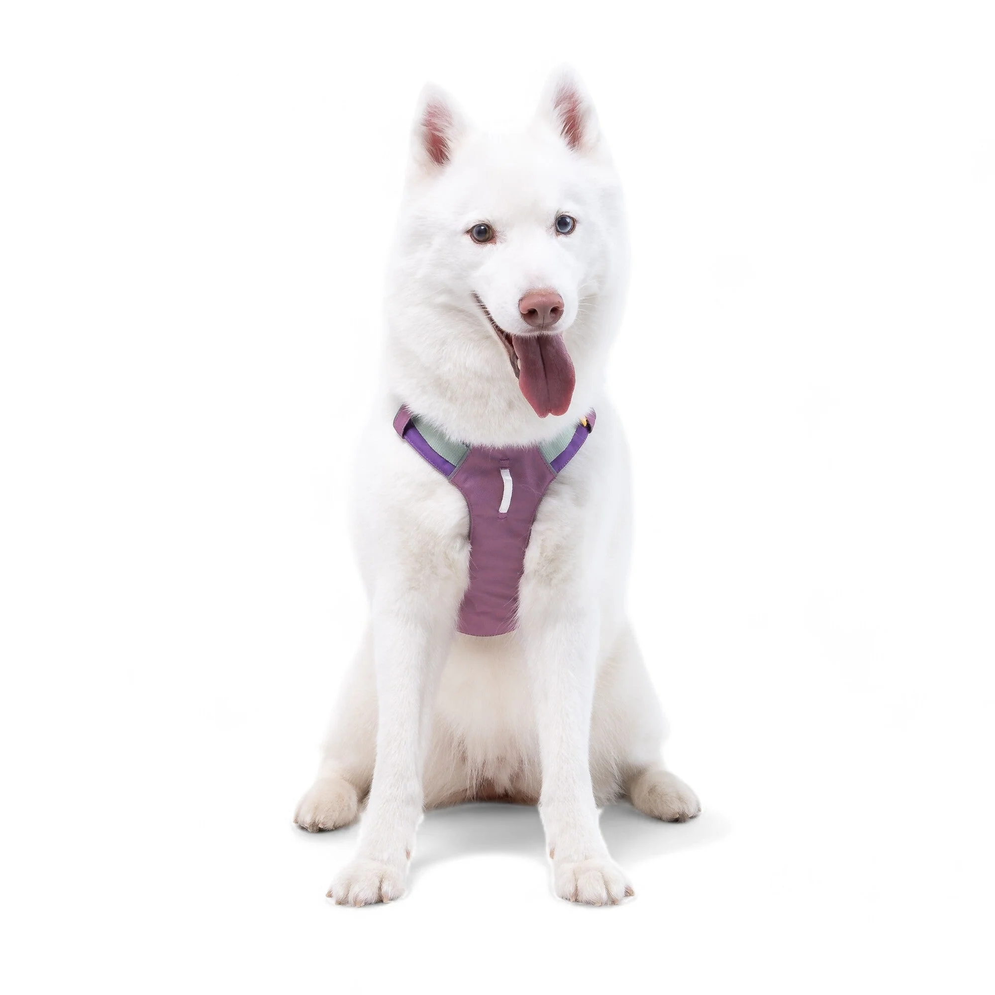 Alpha 360 Dog Harness Mauve Mix - Image 3