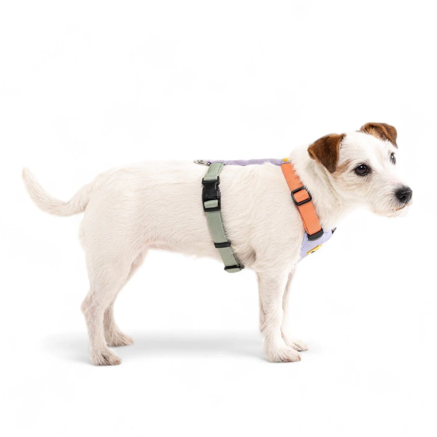 Color Block Dog Harness Salmon Pink Mix - Image 3