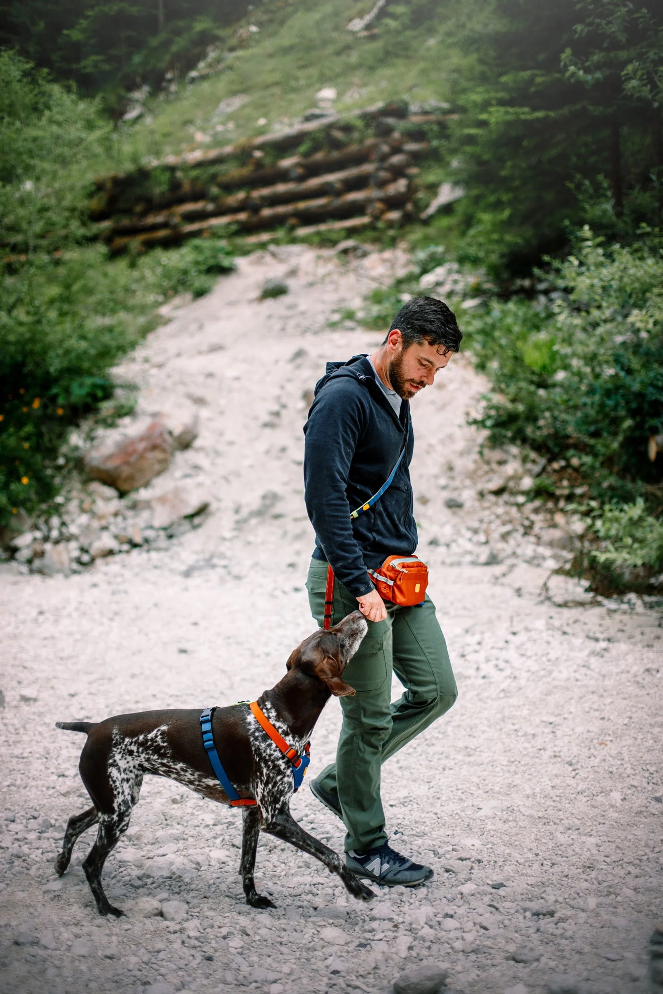 Color Block Multi-Use Dog Leash Lime Mix - Image 4