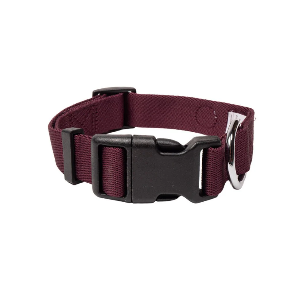Juicy Plum Dog Collar - Image 3