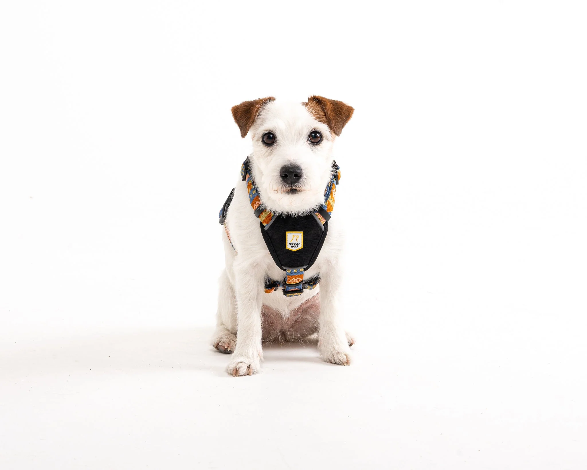 Nightless Night Dog Harness - Image 6