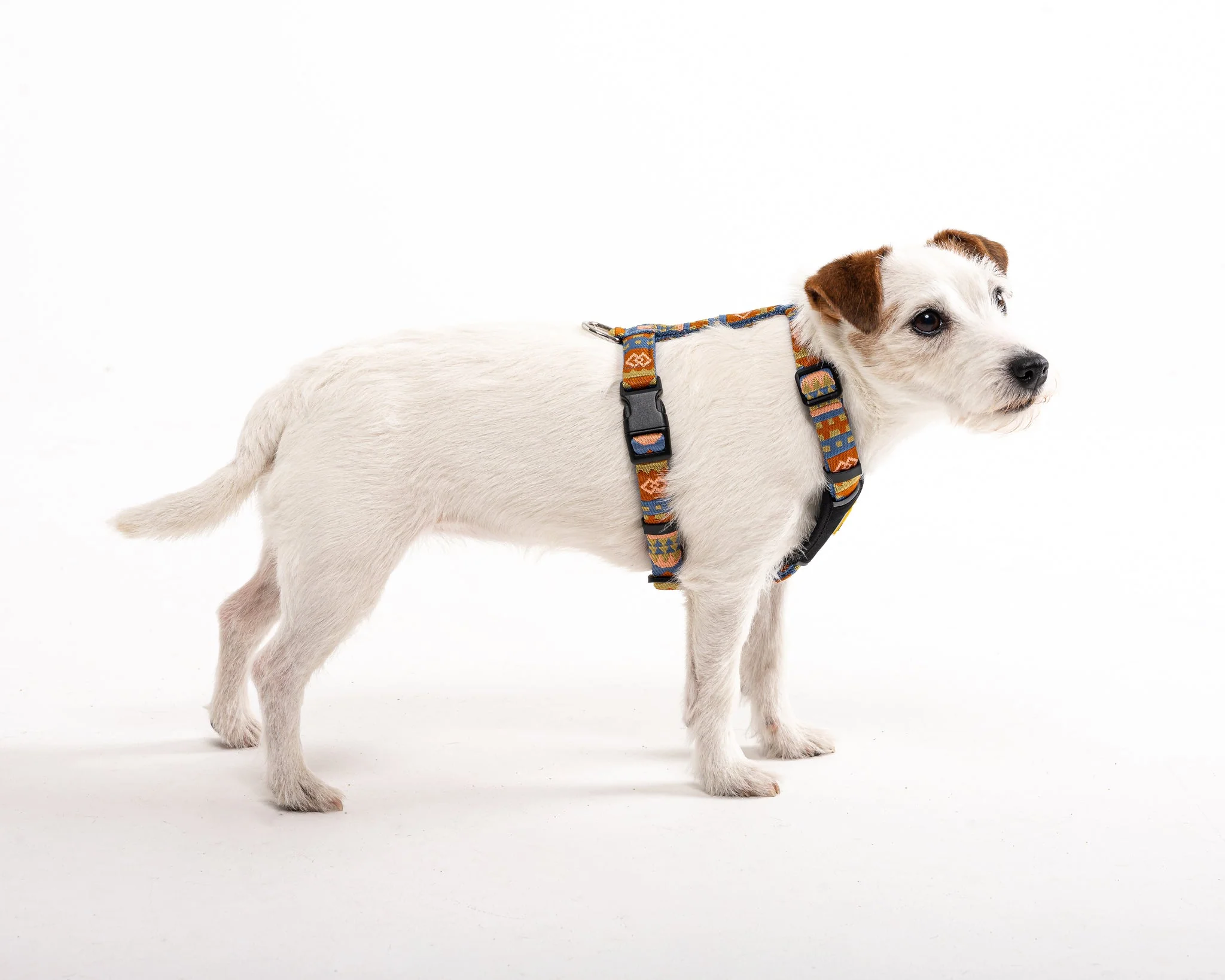 Nightless Night Dog Harness - Image 7