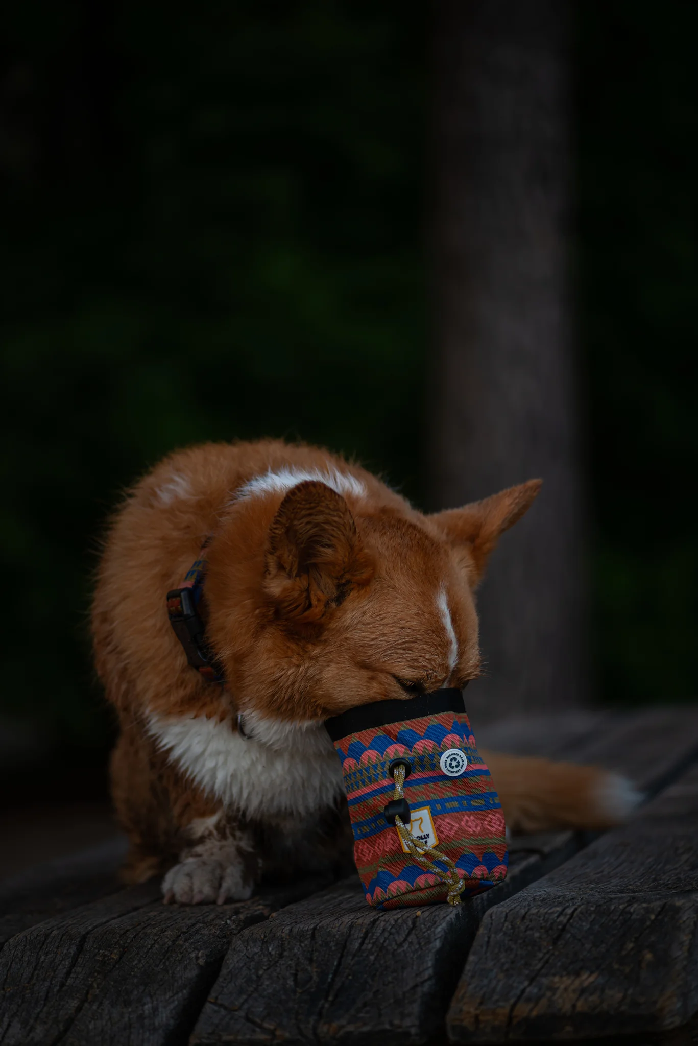 Nightless Night Dog Snack Bag - Image 4