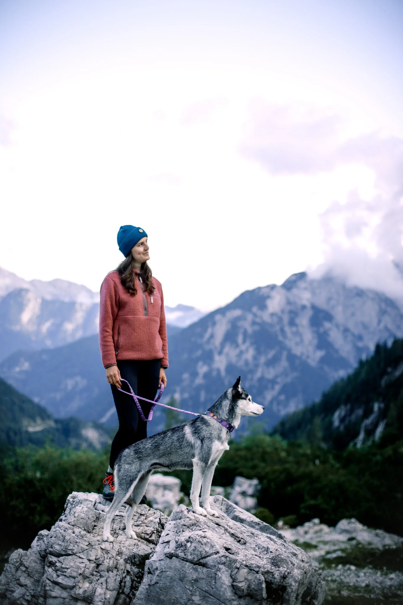 Northern Lights Dog Collar - Image 3