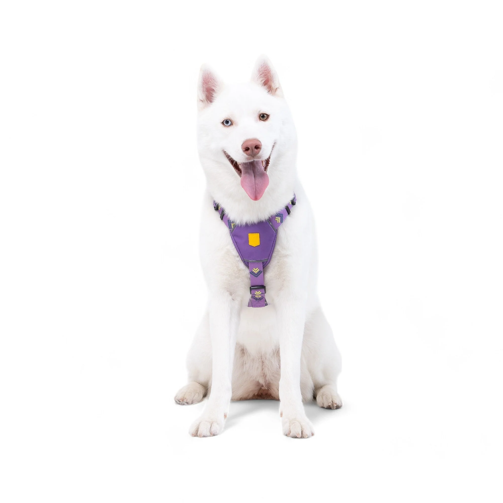 Northern Lights Dog Harness - Image 4