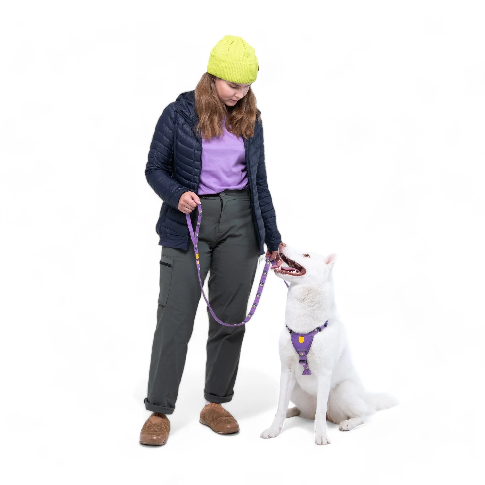 Northern Lights Dog Harness - Image 5