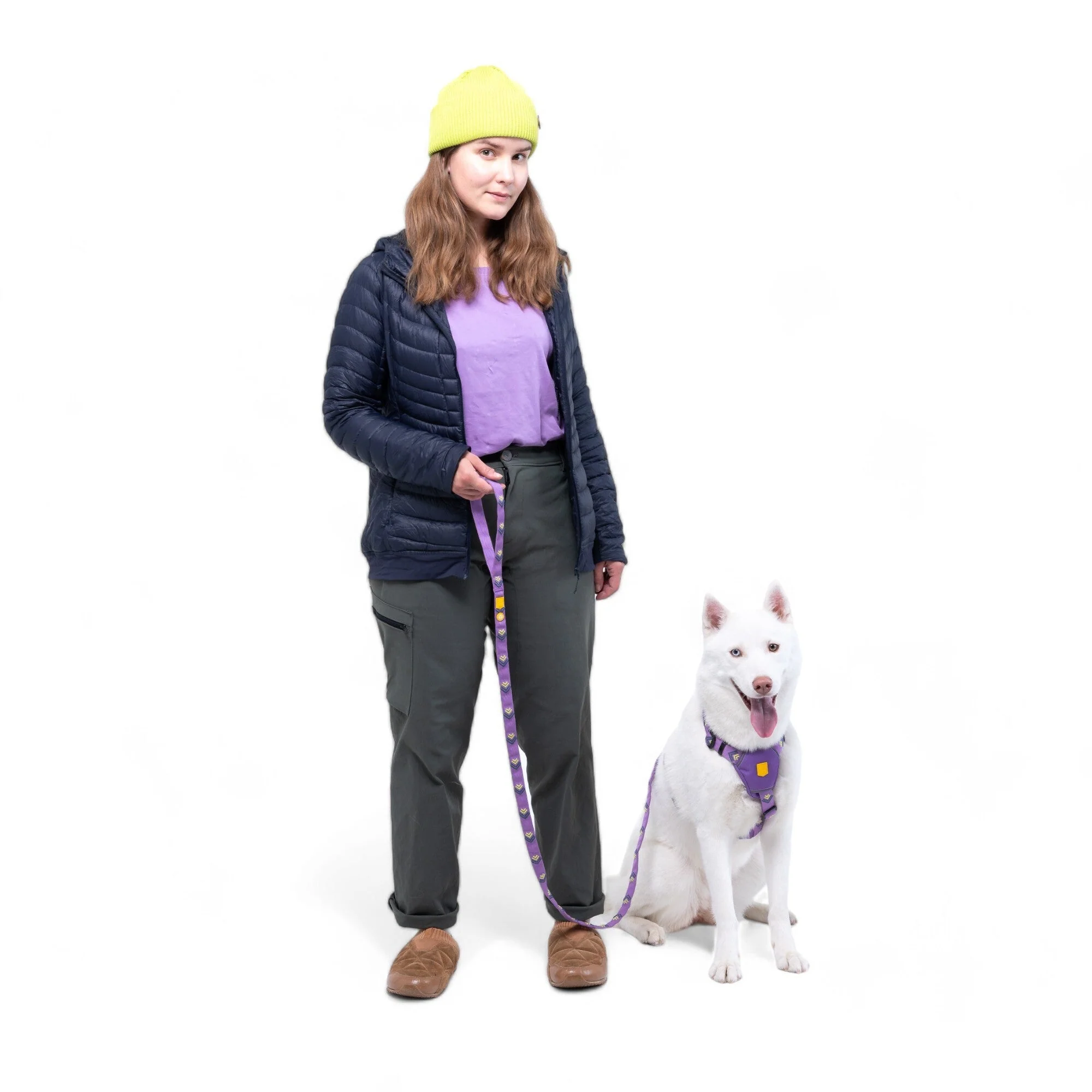 Northern Lights Dog Leash - Image 3