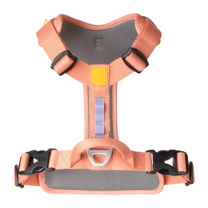 Roam Dog Harness Salmon Pink - Image 3