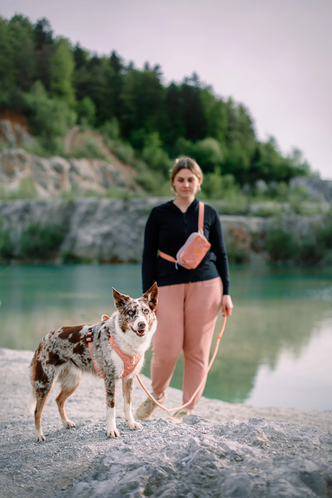 Roam Dog Harness Salmon Pink - Image 5