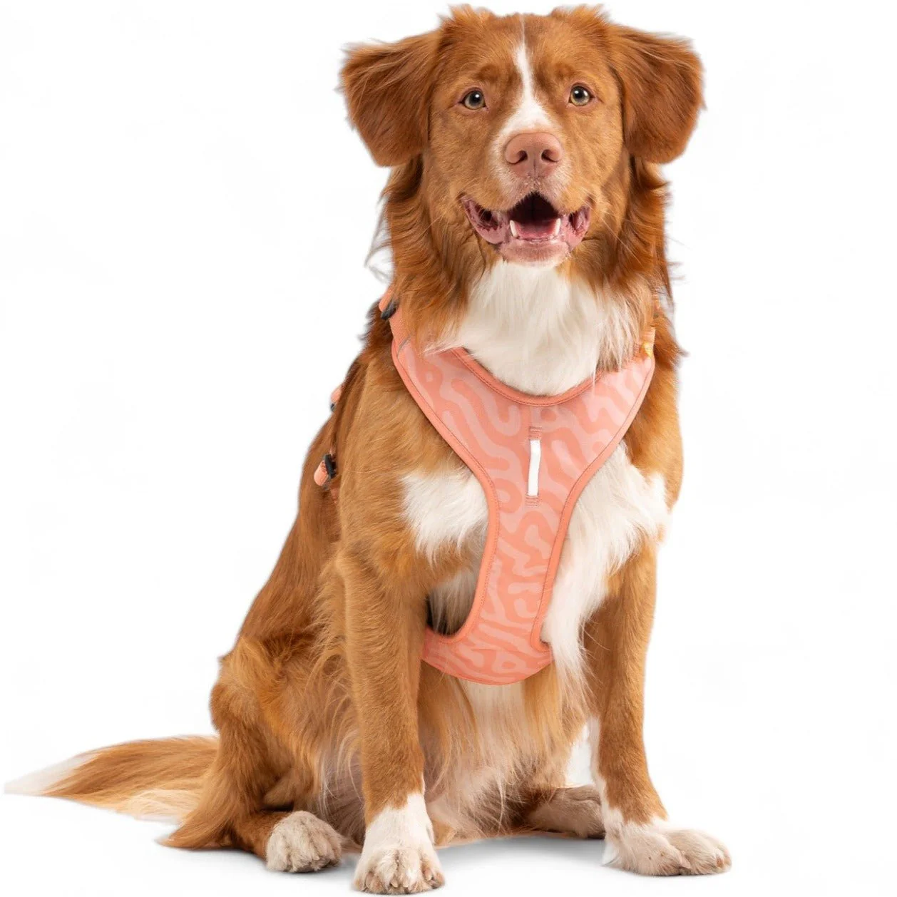 Roam Dog Harness Salmon Pink - Image 7
