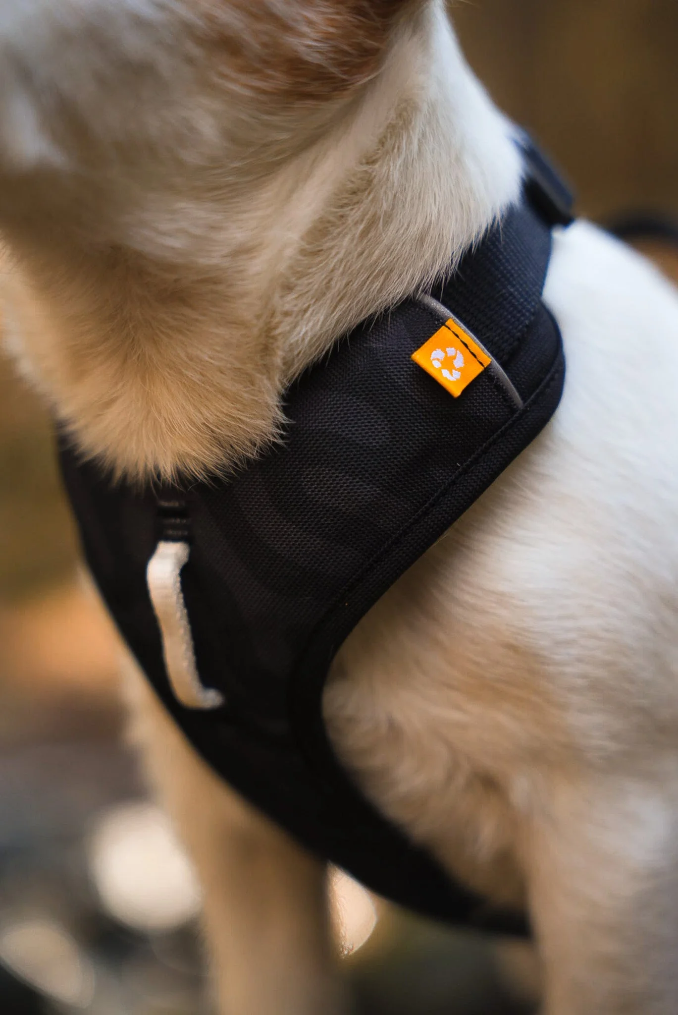 Roam Dog Harness Black Outlet - Image 4