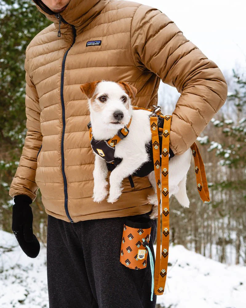 Sea To Summit Dog Leash - Image 3
