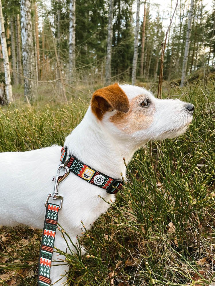 Woodland Dog Leash - Image 4